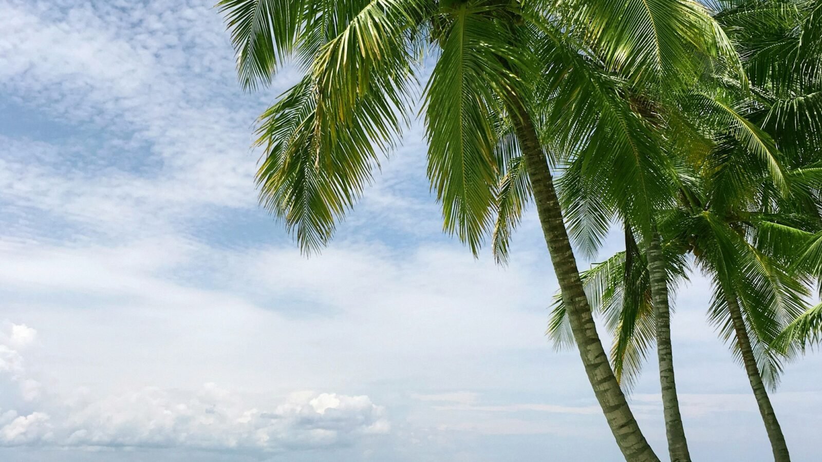 Tulum