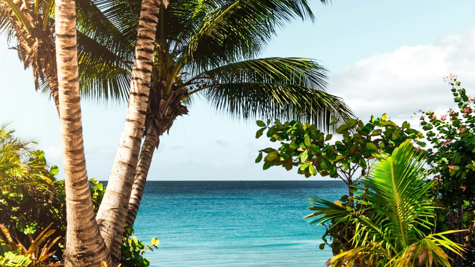 What to Pack for a Tropical Island Holiday