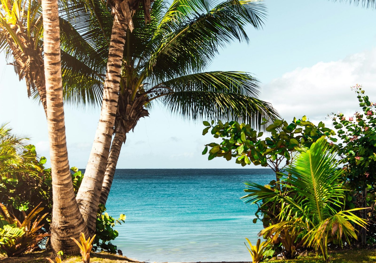 What to Pack for a Tropical Island Holiday