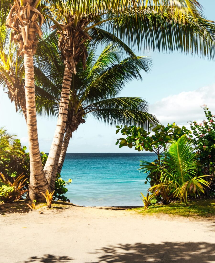 What to Pack for a Tropical Island Holiday